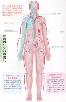 疲労回復