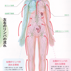 疲労回復